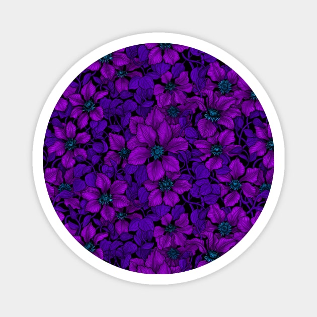 Purple Clematis vine Magnet by katerinamk